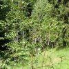 22_Orientační běh Dolní Moravice